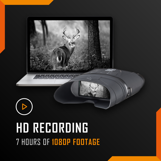 HD recording, looks great on a big screen | 7 HOURS OF 1080P FOOTAGE