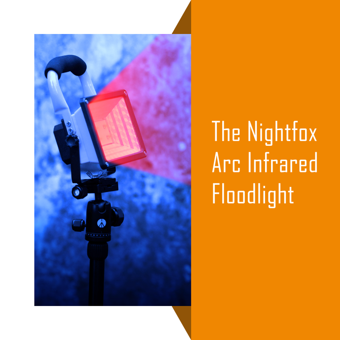 Everything you need to know about the Nightfox Arc IR floodlight